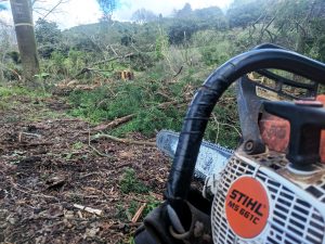Stihl chainsaws
